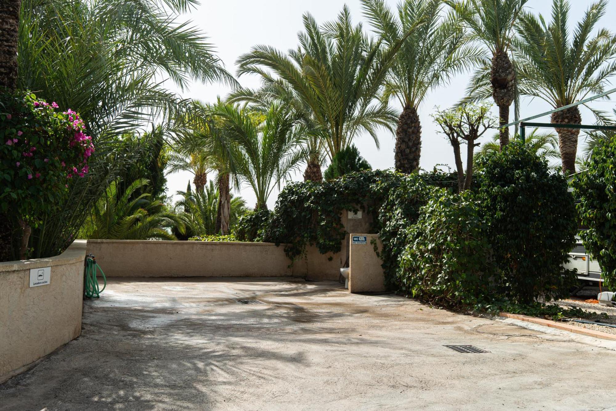 Camping Las Palmeras Crevillente Dış mekan fotoğraf
