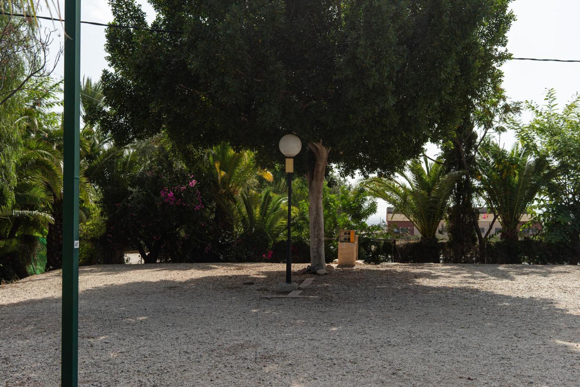 Camping Las Palmeras Crevillente Dış mekan fotoğraf