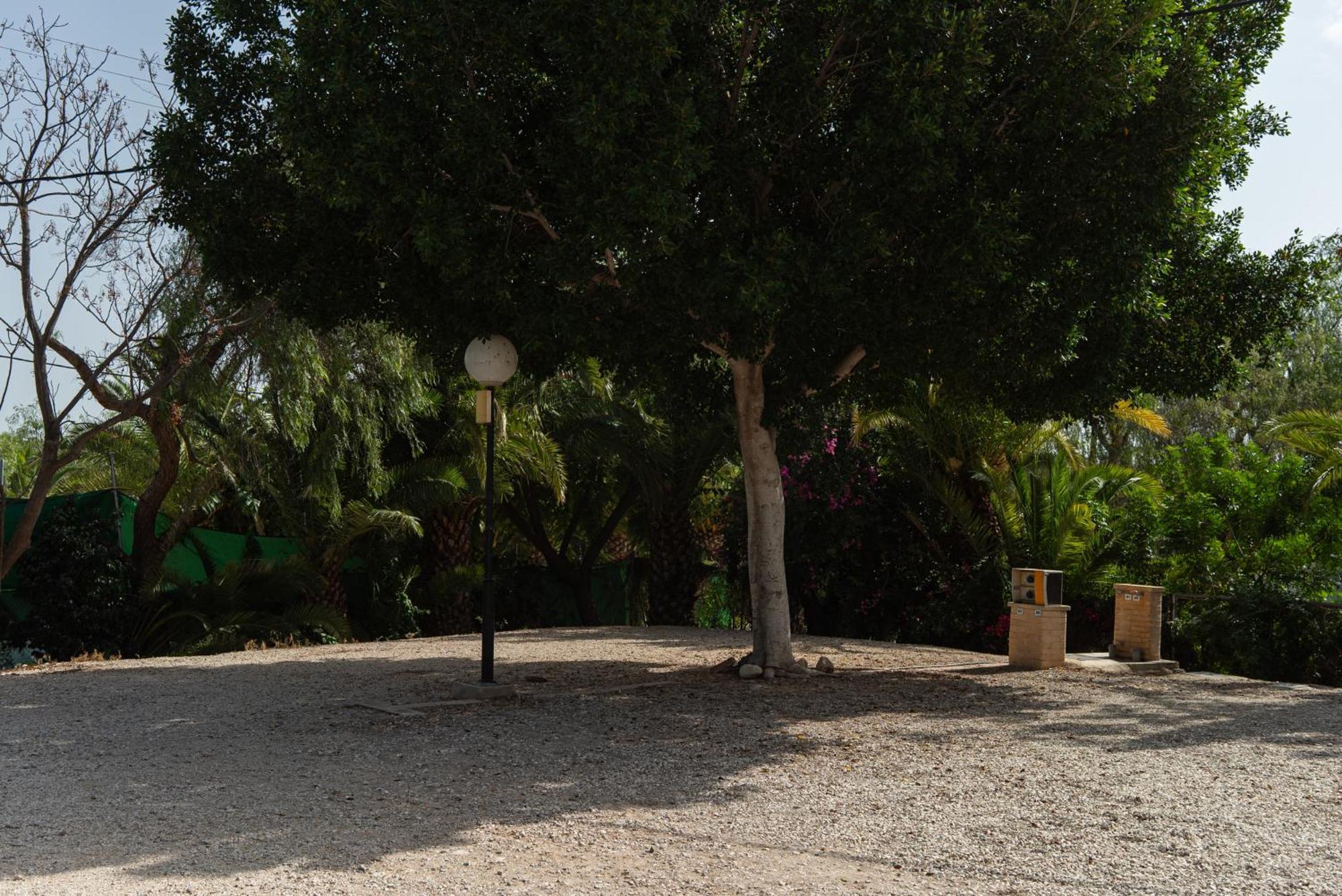 Camping Las Palmeras Crevillente Dış mekan fotoğraf